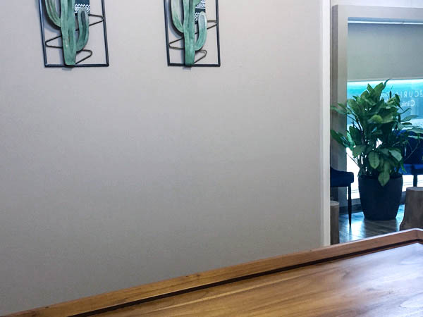 The CURIS Clinic